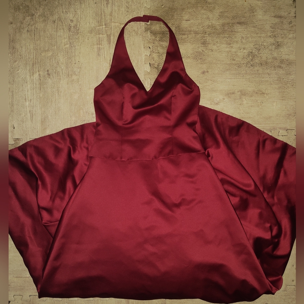 David's bridal Maxi dress/gown